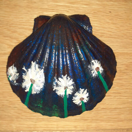 Coquillage Pissenlit